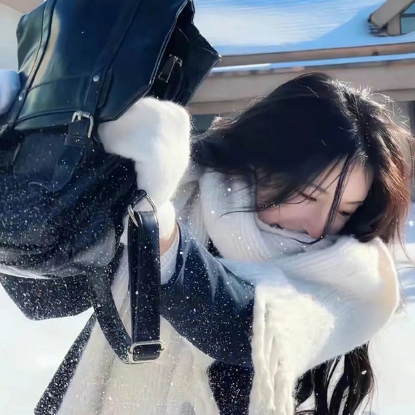 寻宝搭档第二季