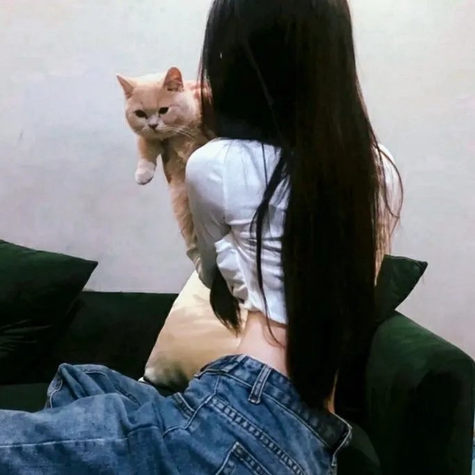 你照亮我的生命